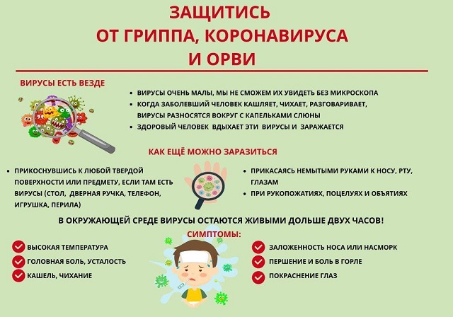 foto-15-12-2022-14-22_3.jpg