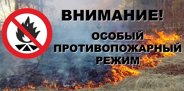 foto 09 08 2022 16 46 1