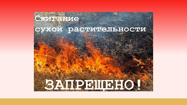 foto 09 08 2022 16 46 2