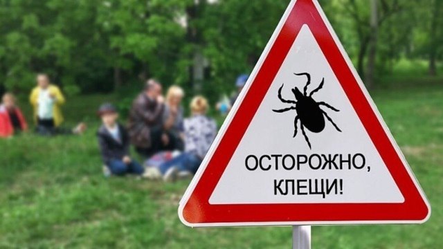 Внимание , клещи!