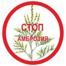 stop ambroziya